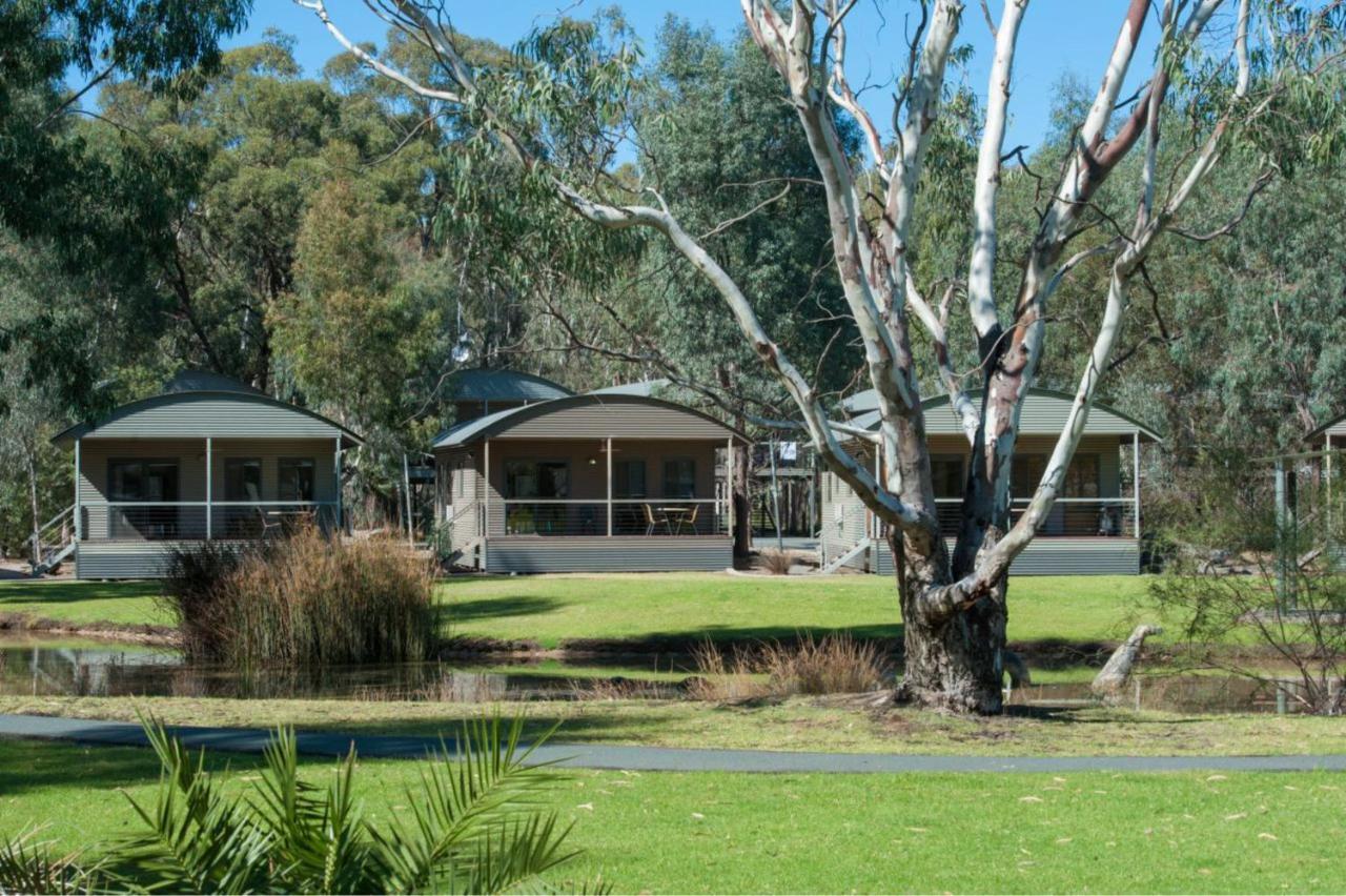 Tasman Holiday Parks - Moama On The Murray Eksteriør billede